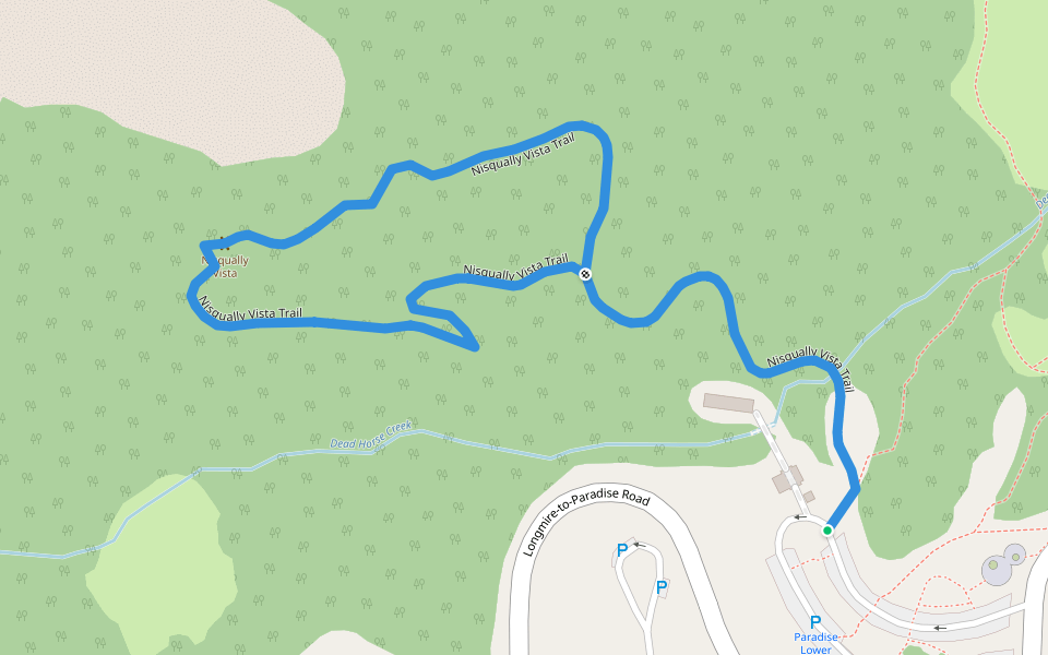 Nisqually Vista Trail Hiking Ashford, Washington Pacer