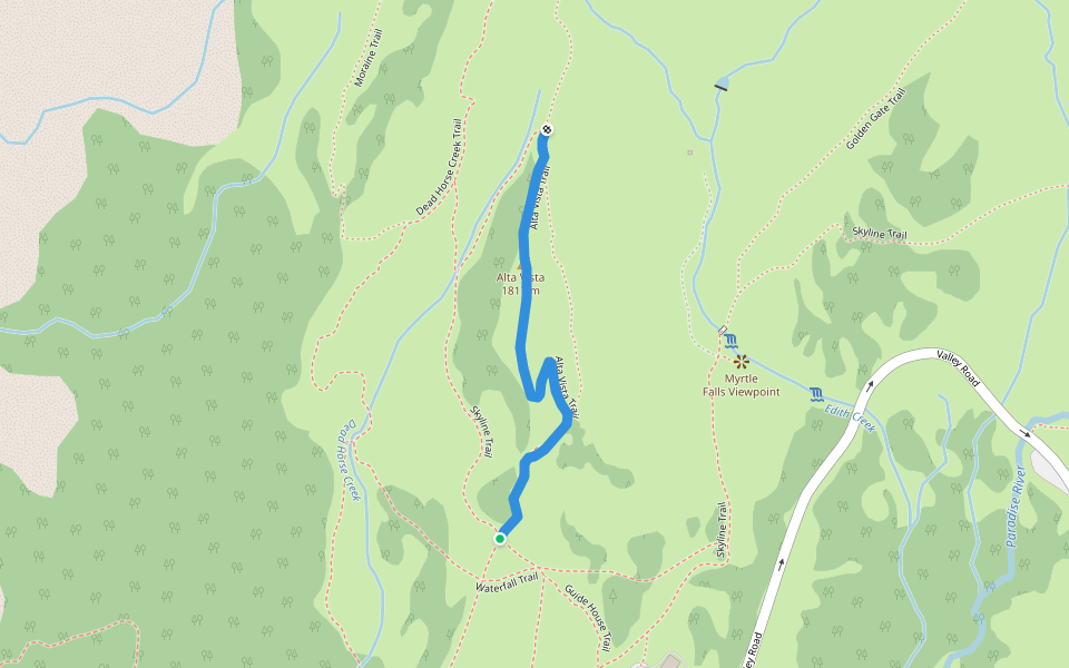 Alta Vista Trail Hiking Ashford, Washington Pacer