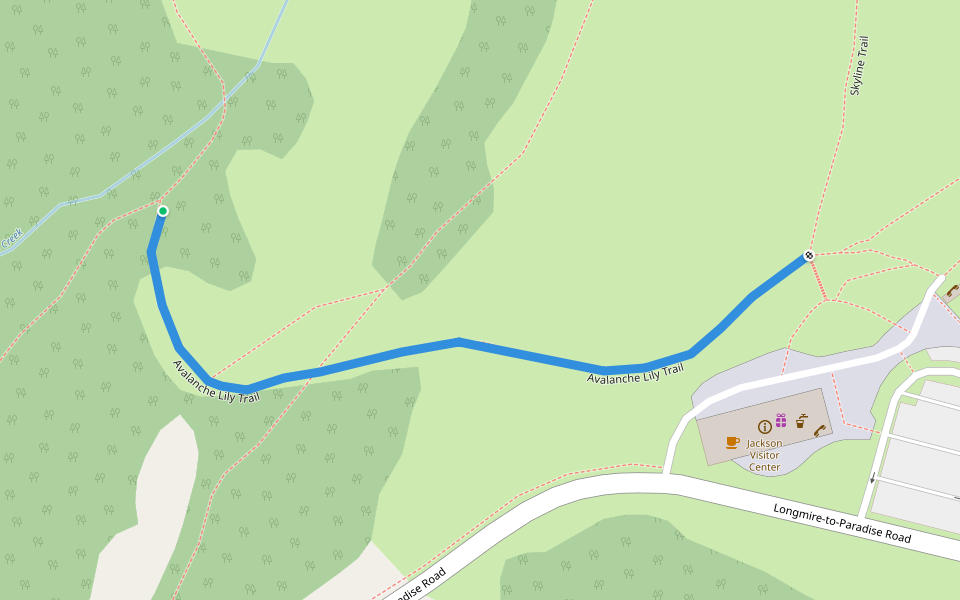 Avalanche Lily Trail