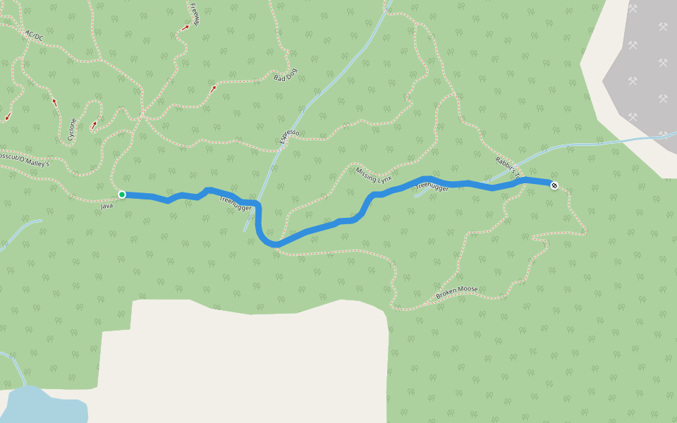 Treehugger Treehugger Walking And Running Trail - Prince George, British Columbia ...