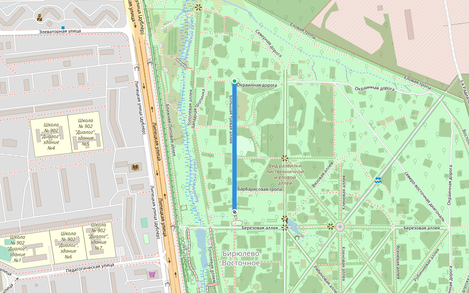 Большая туевая аллея