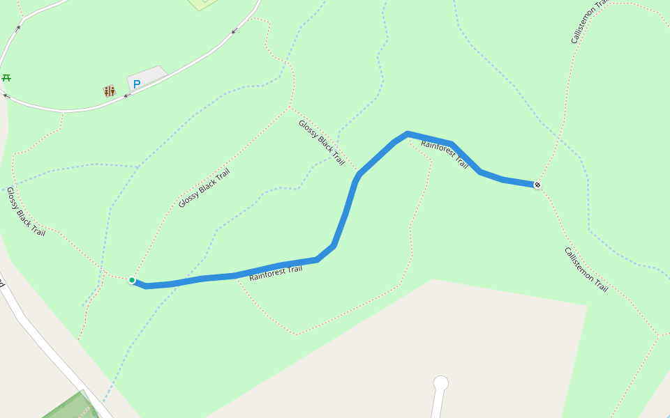 Rainforest Trail walking route map in Mudgeeraba