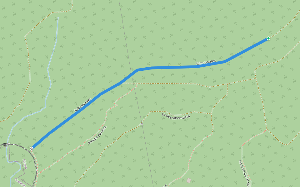 Saltamontes walking route map in Xalapa-Enríquez