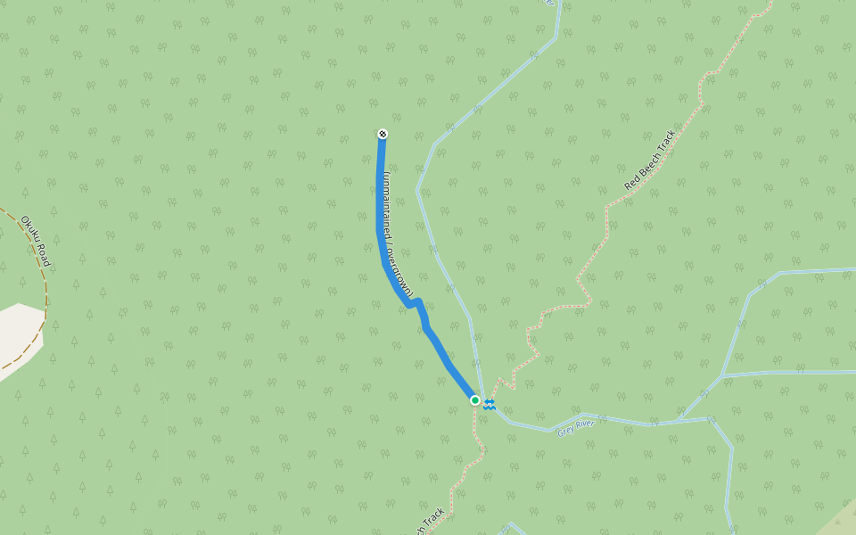 (unmaintained / overgrown) walking route map in Ashley Forest