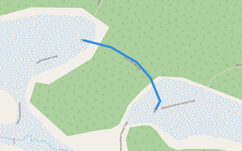 Thru the Woods walking route map in Homer