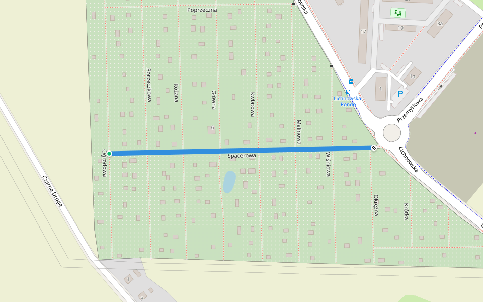 Spacerowa walking route map in Chojnice