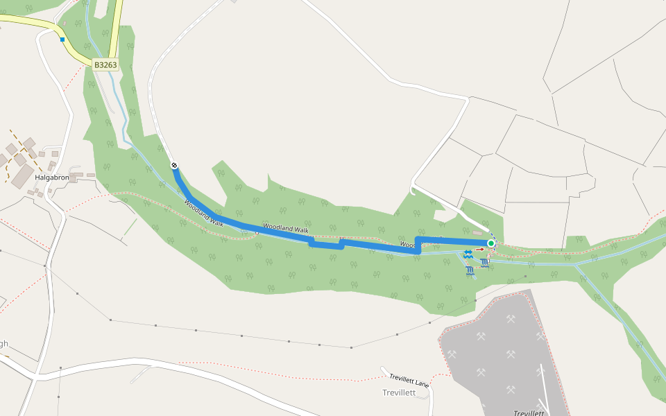 Woodland Walk walking route map in Trethevy