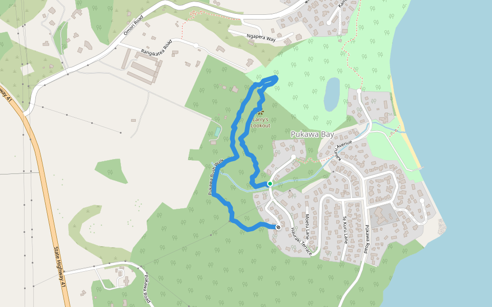 Pukawa Bush Walk walking route map in Pukawa