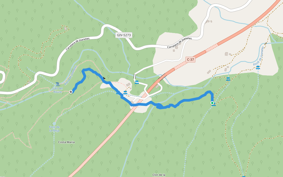 ruta al Puigsacalm pel camí dels Burros walking route map in Joanetes