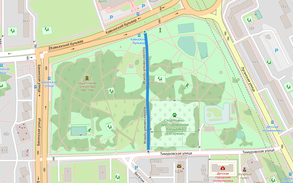 Коллективный проезд