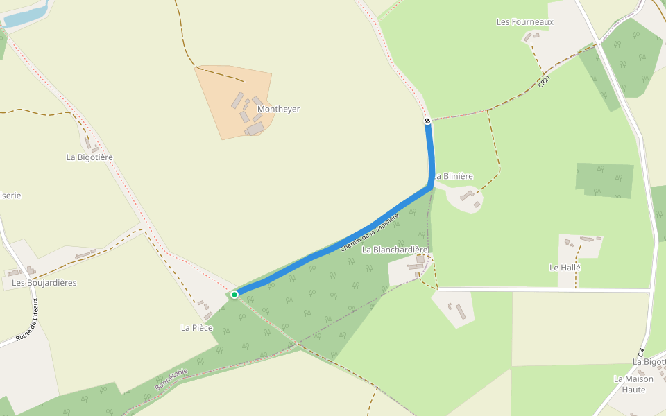 Chemin de la Sapinière walking route map in Bonnétable