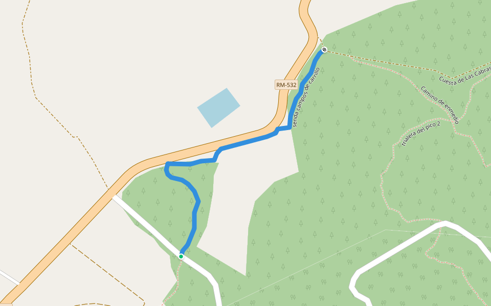 senda campos de carrillo
