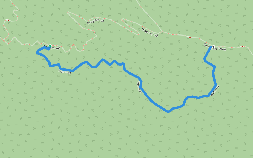 Wolf Tree walking route map in Hinesburg
