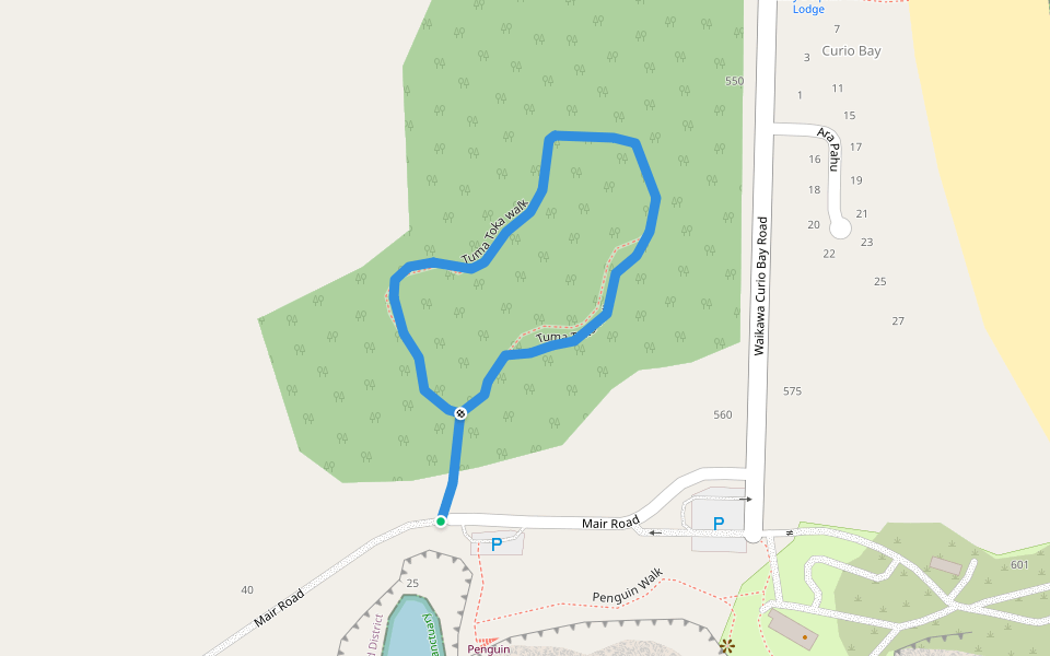 Tuma Toka walk walking route map in Curio Bay