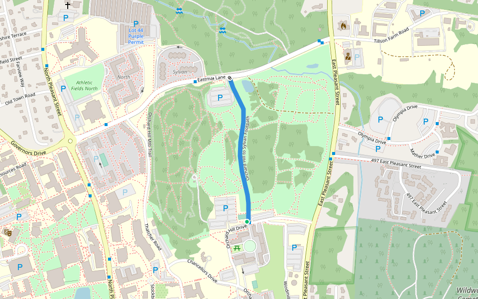 Orchard Hill to Sylvan Footpath walking route map in Amherst