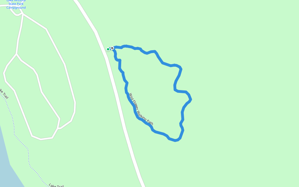 Wild Flower Walking Path walking route map in Chippewa Falls