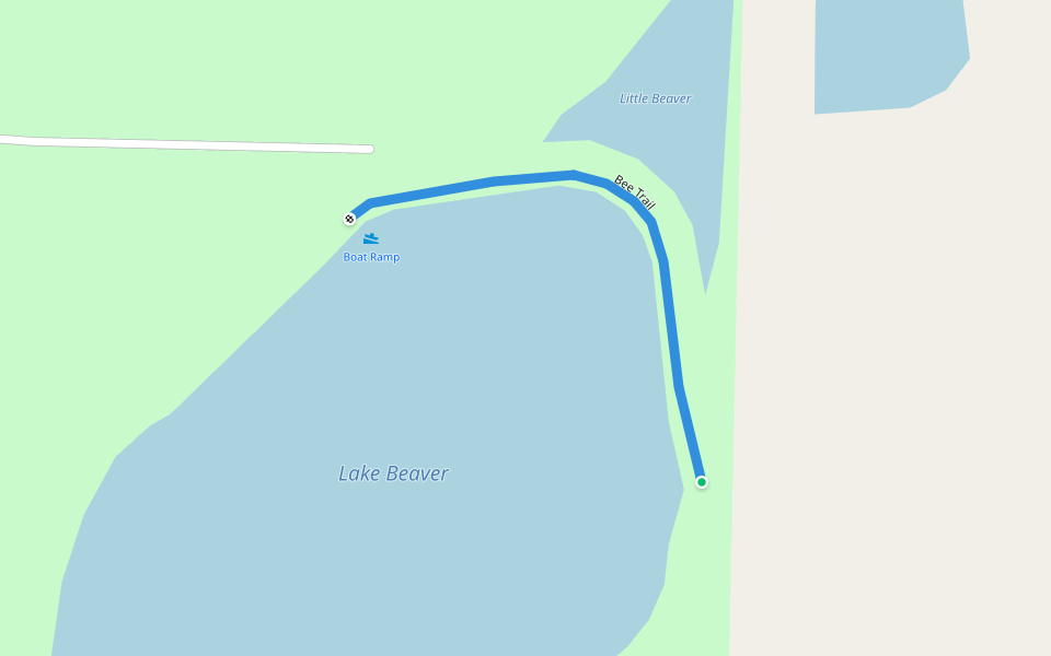 Bee Trail Walking and Running Enigma, Pacer