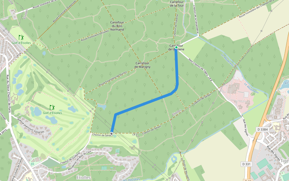 Route Forestière de la Justice walking route map in Étiolles