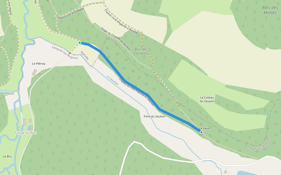 Chemin du Petit Plesnoy au Seuillon walking route map in Lanques-sur-Rognon