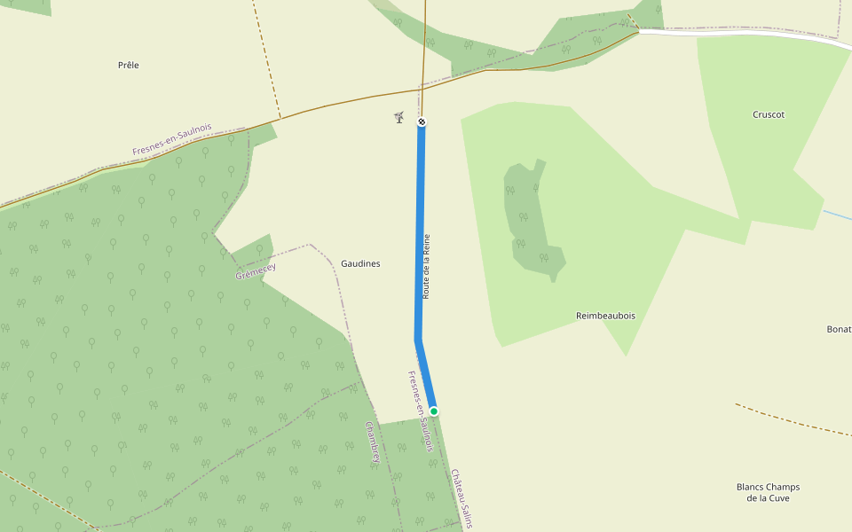 Route de la Reine walking route map in Château-Salins