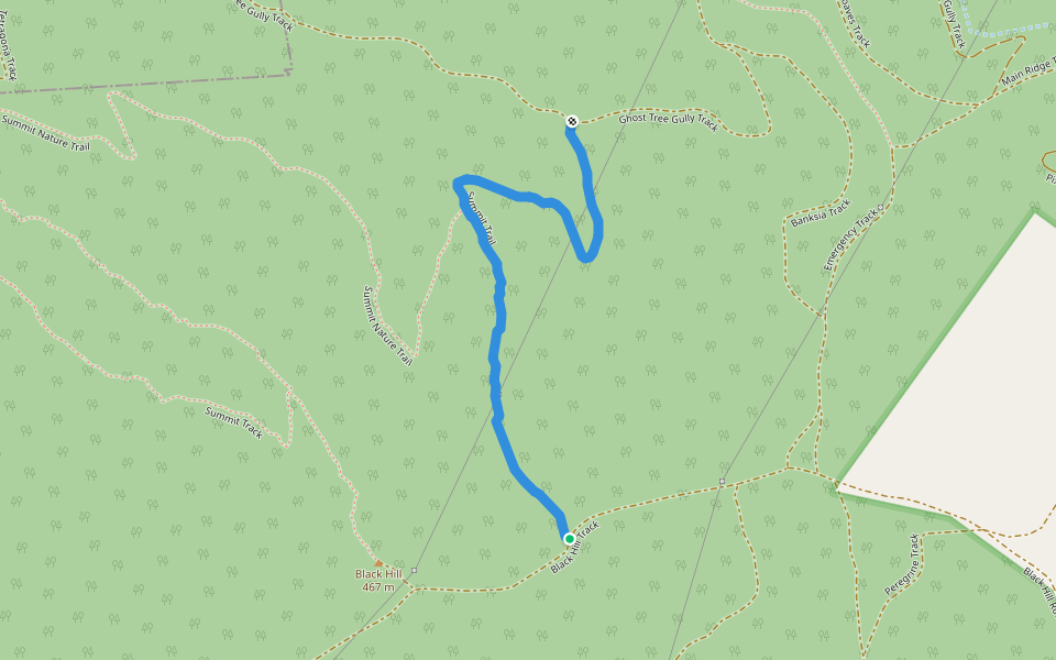 Summit Trail walking route map in Montacute
