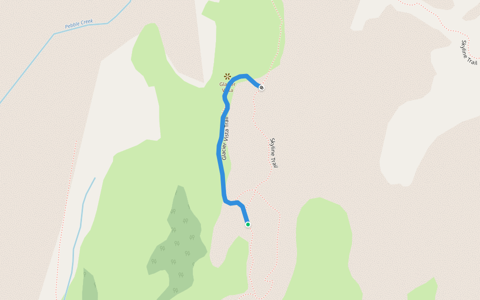 Glacier Vista Trail Hiking Ashford, Washington Pacer