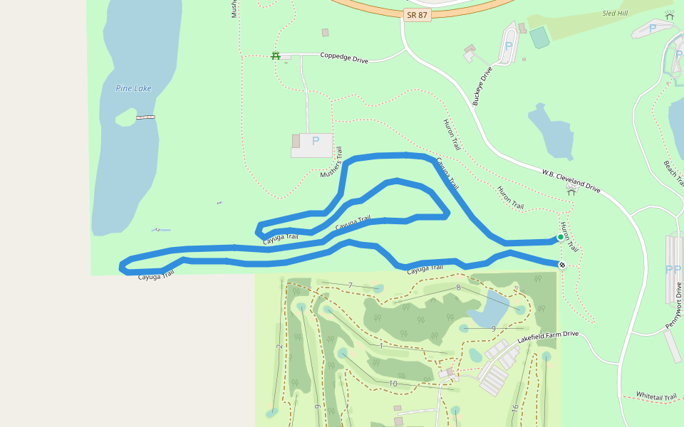 Cayuga Trail walking route map in Burton