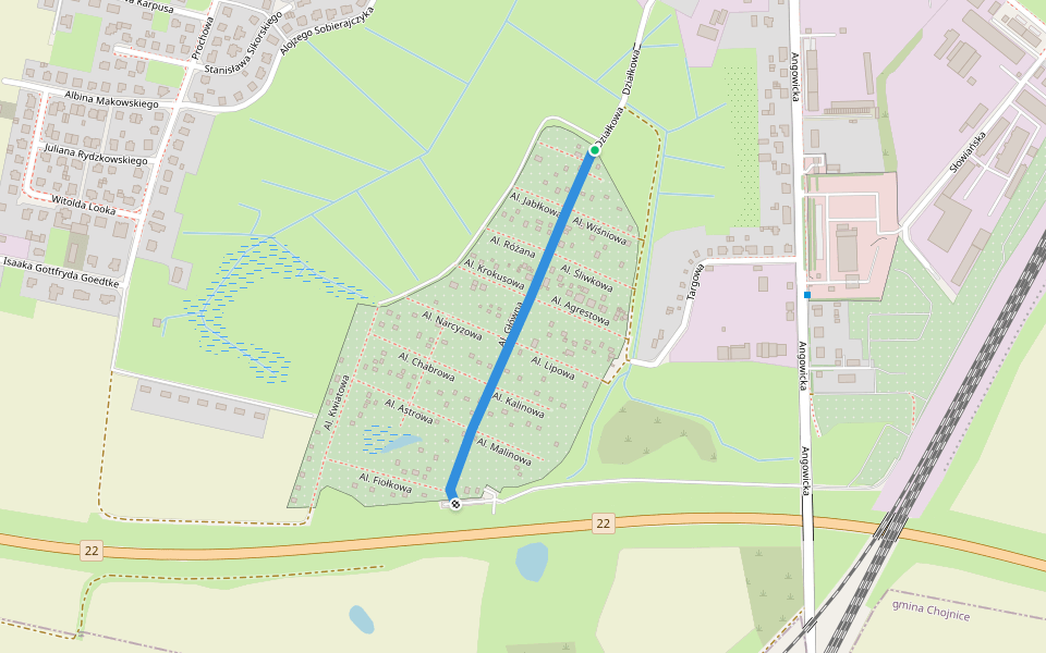 Al. Główna walking route map in Chojnice