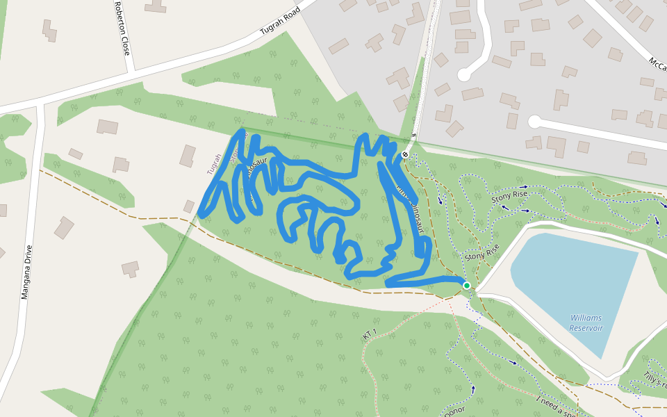Finn's Dinosaur walking route map in Stony Rise