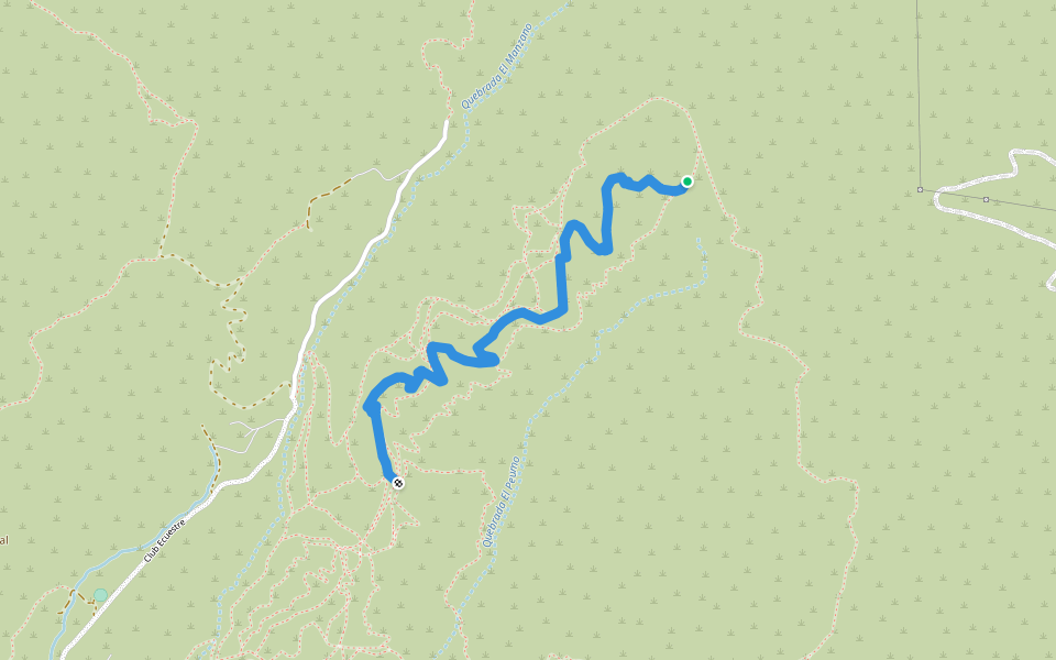 Lomo Vedado Trail walking map