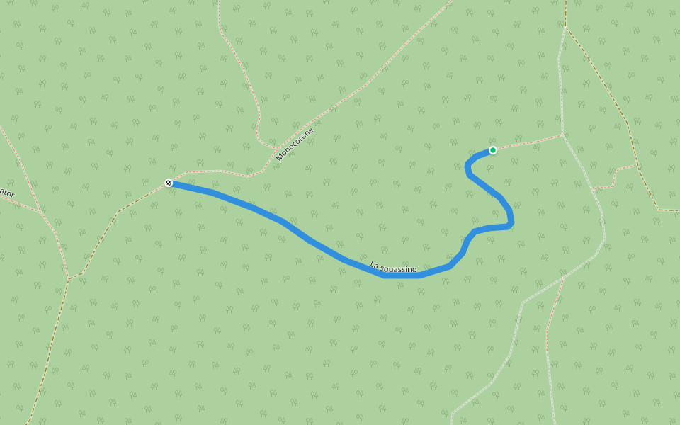 La squassino walking route map in Cascine Roasio