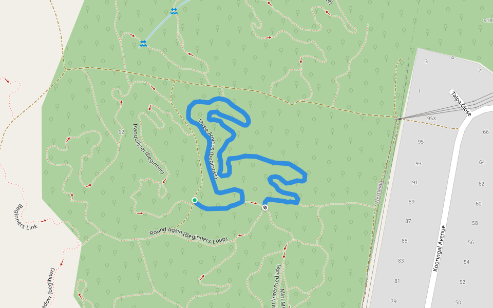Three Amigos (beginner) walking route map in Westleigh
