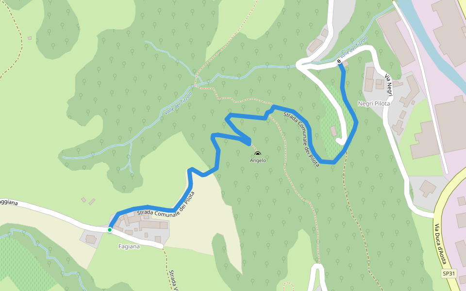 Strada Comunale dei Pilota walking route map in Chiampo