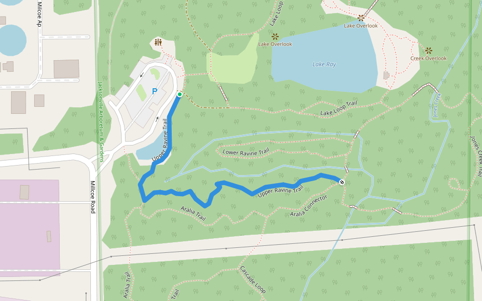 Upper Ravine Trail Hiking Jacksonville, Florida Pacer