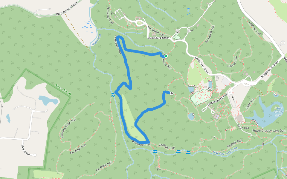 Wildflower Trail walking route map in Milford