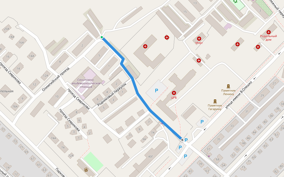 Родниковый переулок walking route map in Aleysk