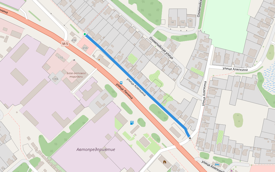 улица Аляпкина walking route map in Spassk