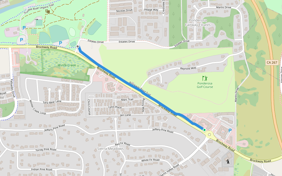 Brockway Road Trail Walking and Running Truckee, California Pacer