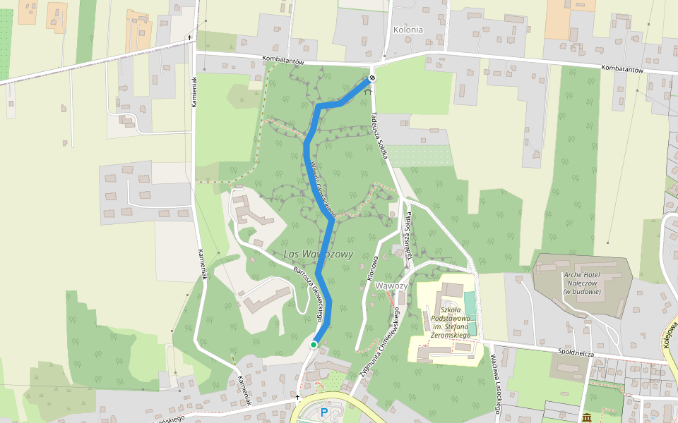 Wąwóz Głowackiego walking route map in Nałęczów
