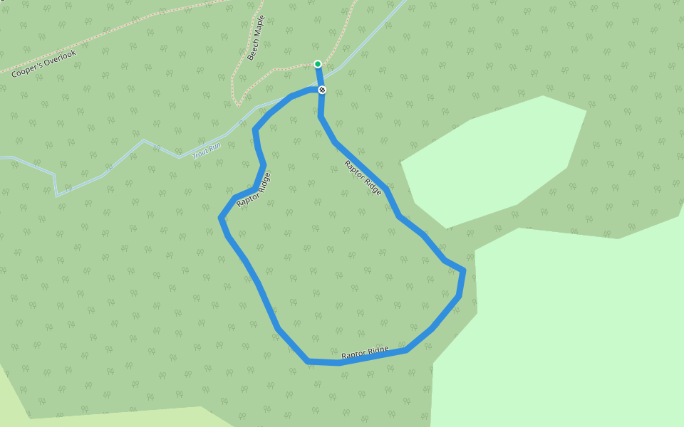 Raptor Ridge