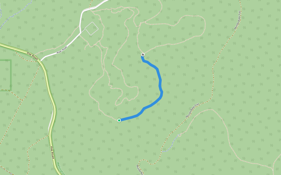 Dips Road (Overgrown) walking route map in Wellington Forest