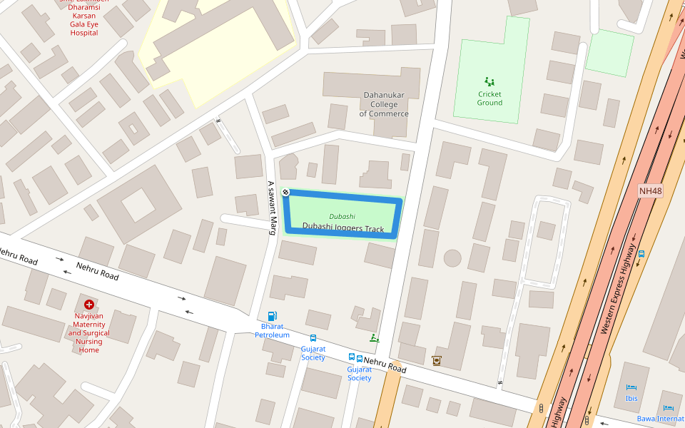 Dubashi Joggers Track