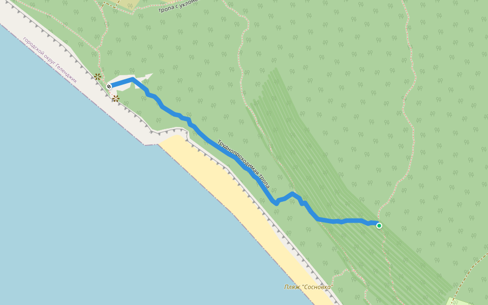 Труднопроходимая тропа walking route map in Сосновое снт