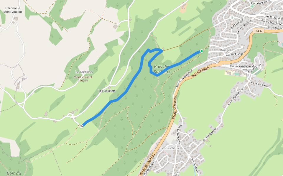 Variante GR5 walking route map in Les Fins