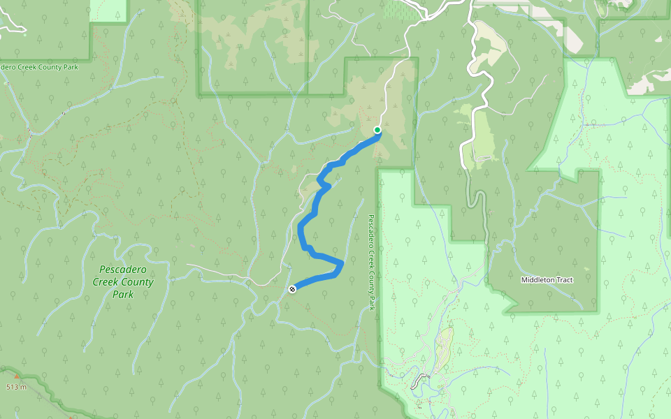 Shingle Mill Trail walking route map in La Honda