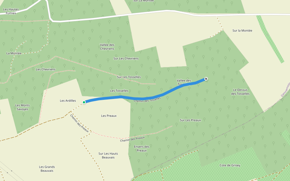 Chemin des Tosselles walking route map in Dannemoine