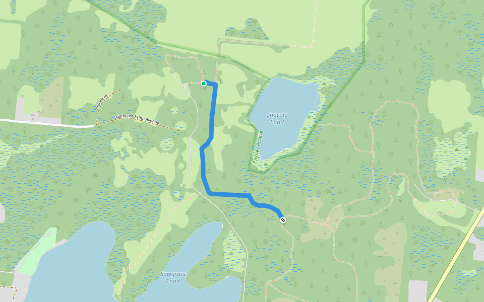 Jackson's Gap Trail walking route map in Micanopy