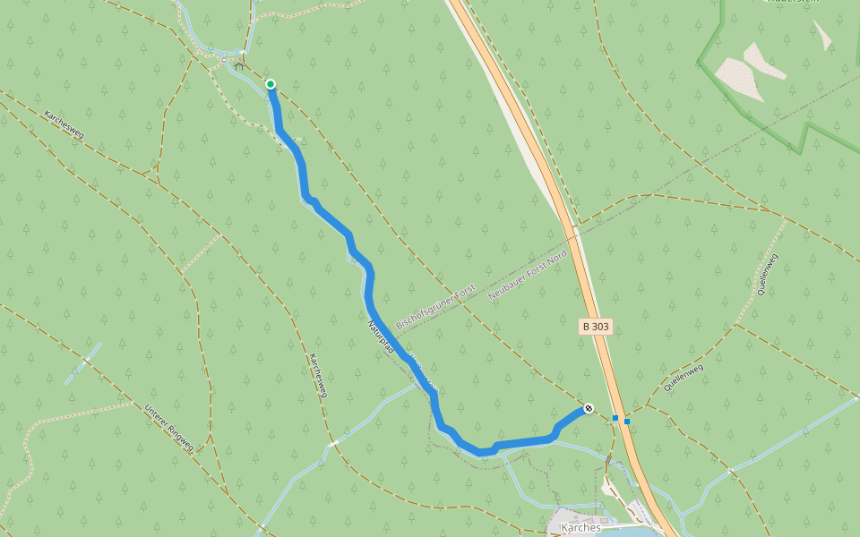 Naturpfad walking route map in Bischofsgrüner Forst