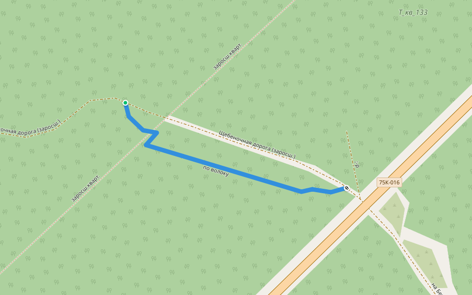 по волоку walking route map in Allaki