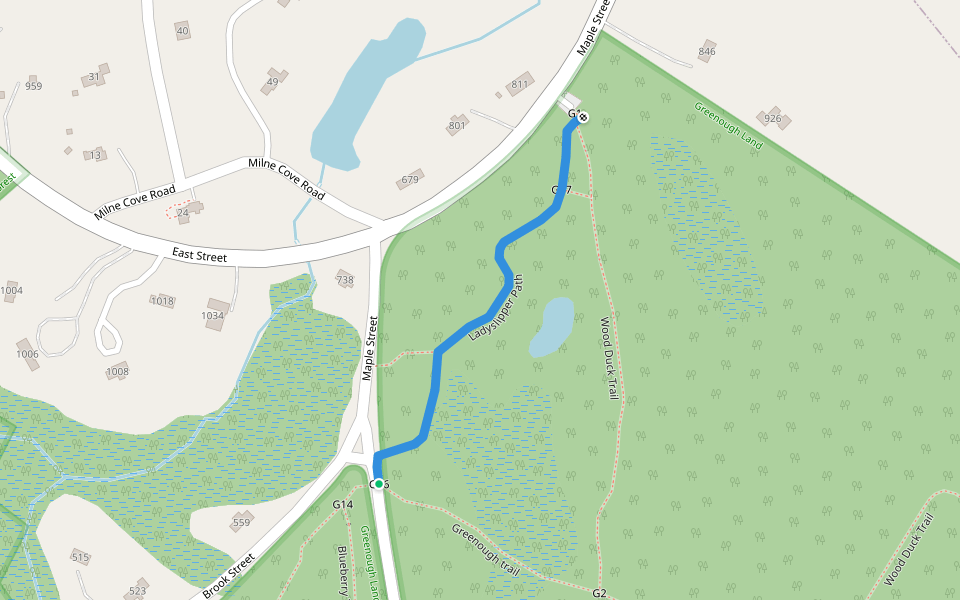 Ladyslipper Path Walking And Running Trail Carlisle, Massachusetts